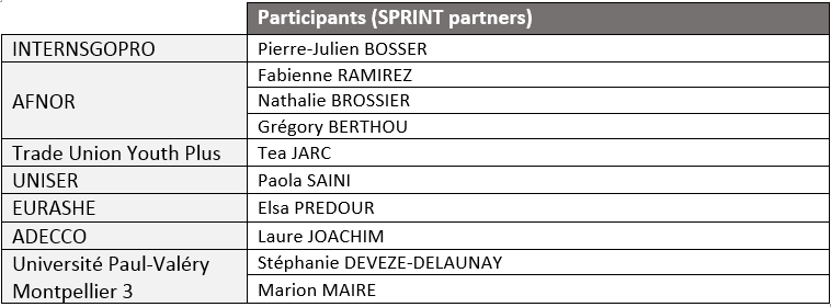 participants 1.png